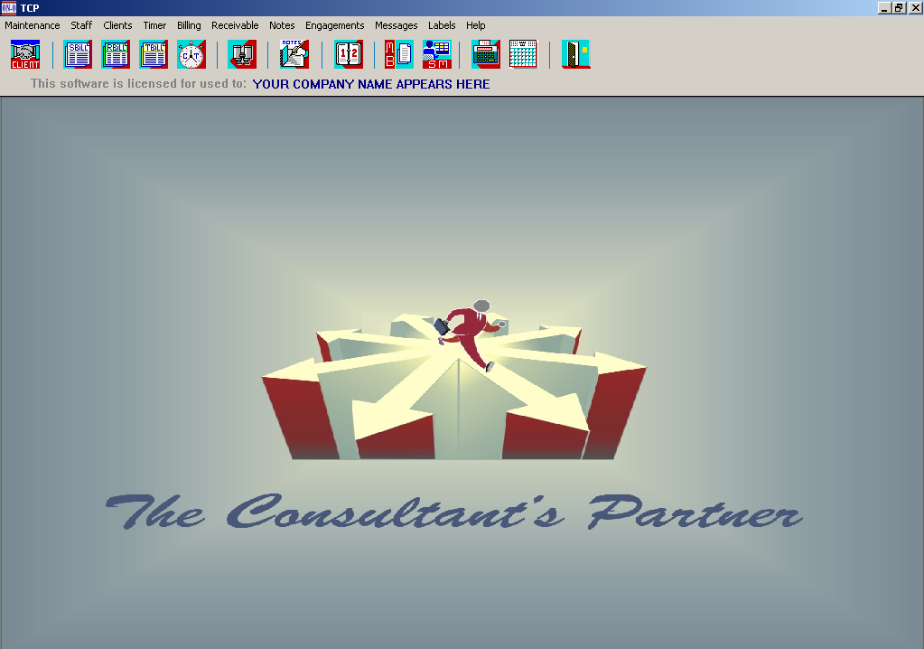The Consultant's Partner